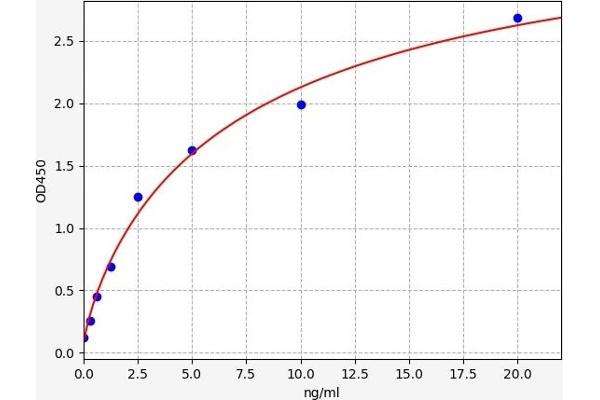 AMPK alpha ELISA Kit