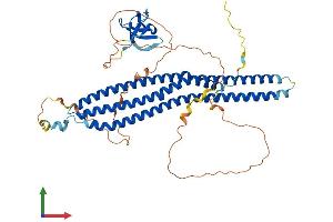 Protein Structure (PS) image for BAI1-Associated Protein 2-Like-1 (BAIAP2L1) (AA 1-514) protein (His tag) (ABIN7561282)