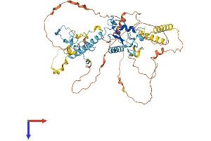 Makorin Ring Finger Protein 3 (MKRN3) (AA 1-544) protein (His tag)