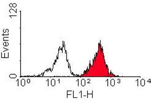 ABIN119577 staining of HLA-A2 +ve human peripheral blood lymphocytes, visualised with rabbit anti-mouse IgG: FITC (HLA-A2 antibody)