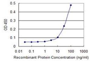 ASB8 antibody  (AA 179-288)