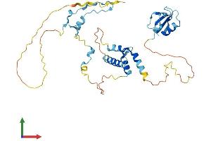 AlphaFold protein structure predicition of Mouse Recombinant Cd2bp2 Protein, UniprotID Q9CWK3