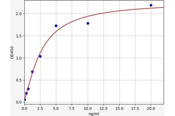 MAGEA3 ELISA Kit