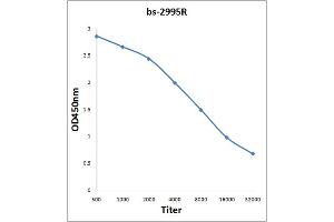 Antigen: 0. (Msk1/2 (AA 49-94) antibody)