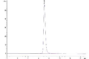 Size-exclusion chromatography-High Pressure Liquid Chromatography (SEC-HPLC) image for Fms-Related Tyrosine Kinase 4 (FLT4) (AA 25-776) protein (His-Avi Tag) (ABIN7275839)
