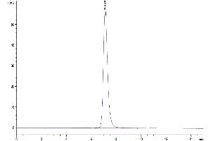 The purity of Human VEGF R3 is greater than 95 % as determined by SEC-HPLC. (FLT4 Protein (AA 25-776) (His-Avi Tag))