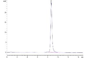 The purity of Cynomolgus PCSK9 is greater than 95 % as determined by SEC-HPLC. (PCSK9 Protein (AA 151-811) (His tag))