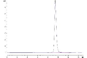Size-exclusion chromatography-High Pressure Liquid Chromatography (SEC-HPLC) image for Folate Receptor 2 (Fetal) (FOLR2) (AA 17-228) protein (His tag) (ABIN7274664)
