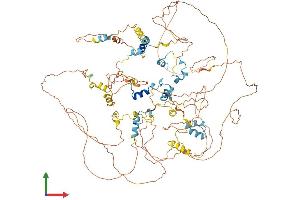 AlphaFold protein structure predicition of Mouse Recombinant Eif4enif1 Protein, UniprotID Q9EST3 (EIF4ENIF1 Protein (AA 1-983) (His tag))