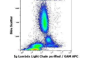 Flow cytometry surface staining pattern of human peripheral whole blood stained using anti-human Ig Lambda Light Chain (1-155-2) purified antibody (concentration in sample 4 μg/mL, GAM APC). (Lambda-IgLC antibody)