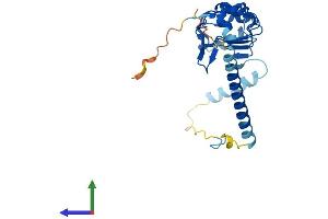 AlphaFold protein structure predicition of Mouse Recombinant Lrrc61 Protein, UniprotID Q8R2R5