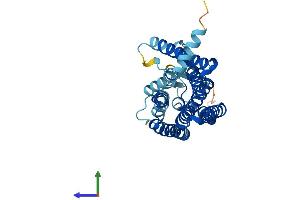 AlphaFold protein structure predicition of Human Recombinant OR2T10 Protein, UniprotID Q8NGZ9 (OR2T10 Protein (AA 1-312) (His tag))