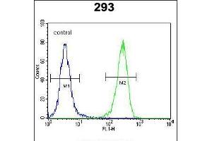 Flow cytometric analysis of 293 cells (right histogram) compared to a negative control cell (left histogram). (AQP11 antibody  (C-Term))