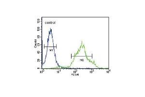 Flow Cytometry (FACS) image for anti-Zinc Finger, DHHC-Type Containing 21 (ZDHHC21) (AA 59-87), (N-Term) antibody (ABIN651365)