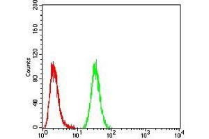Flow Cytometry (FACS) image for anti-Nuclear Factor of kappa Light Polypeptide Gene Enhancer in B-Cells Inhibitor, alpha (NFKBIA) (AA 150-291) antibody (ABIN5542657)