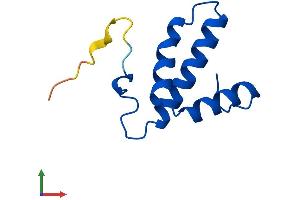 AlphaFold protein structure predicition of Mouse Recombinant Cox6b2 Protein, UniprotID Q80ZN9 (COX6B2 Protein (AA 1-88) (His tag))