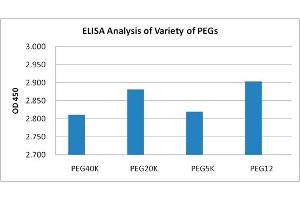 Detection of variety of PEGs using the PEG Antibody [Biotin], mAb, Mouse. (PEG antibody  (Biotin))