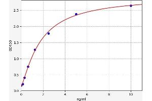 Matrix Metallopeptidase 7 (Matrilysin, Uterine) (MMP7) ELISA Kit