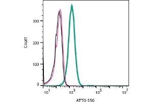 Cell surface detection of STIM1 in human Jurkat T-cell leukemia cells:___ Cells. (STIM1 antibody  (Extracellular) (Atto 550))