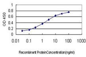 Detection limit for recombinant GST tagged CD99 is approximately 0. (CD99 antibody  (AA 23-122))