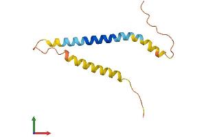 AlphaFold protein structure predicition of Human Recombinant RPRM Protein, UniprotID Q9NS64 (Reprimo Protein (RPRM) (AA 1-109) (His tag))