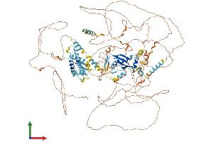 AlphaFold protein structure predicition of Mouse Recombinant Cramp1 Protein, UniprotID Q6PG95 (CRAMP1 (AA 1-1285) protein (His tag))