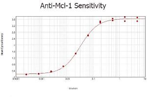 Rabbit anti-Mcl-1 ELISA ELISA results of purified Rabbit anti-Mcl-1 Antibody tested against BSA-conjugated peptide of immunizing peptide. (MCL-1 antibody  (Internal Region))