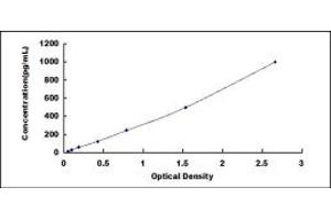 INSL3 ELISA Kit