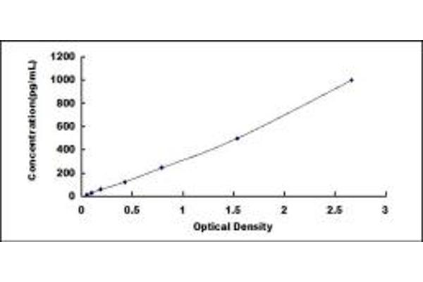 INSL3 ELISA Kit