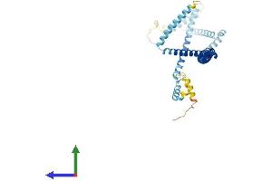 AlphaFold protein structure predicition of Mouse Recombinant Haus4 Protein, UniprotID Q8BFT2