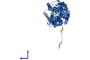 AlphaFold protein structure predicition of Mouse Recombinant Slc6a20b Protein, UniprotID O88575 (Slc6a20b Protein (AA 1-635) (His tag))