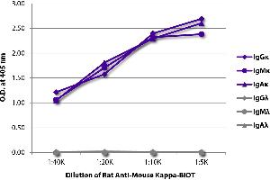 ELISA plate was coated with purified mouse IgGκ, IgMκ, IgAκ, IgGλ, IgMλ, and IgAλ. (Rat anti-Mouse Immunoglobulin kappa Chain Complex (Igk) Antibody (Biotin))