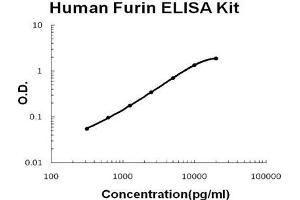 Human Furin PicoKine ELISA Kit standard curve