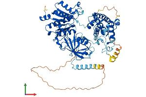 AlphaFold protein structure predicition of Human Recombinant UBA2 Protein, UniprotID Q9UBT2