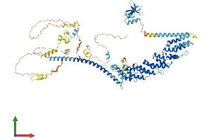 AlphaFold protein structure predicition of Human Recombinant TFIP11 Protein, UniprotID Q9UBB9