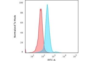 Flow Cytometric Analysis of PFA-fixed HeLa cells. (NPM1 antibody  (N-Term))