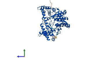 AlphaFold protein structure predicition of Human Recombinant GPT2 Protein, UniprotID Q8TD30 (GPT2 Protein (AA 1-523) (His tag))