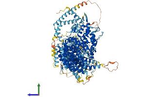 AlphaFold protein structure predicition of Mouse Recombinant Tbc1d32 Protein, UniprotID Q3URV1 (Chromosome 6 Open Reading Frame 170 (C6ORF170) (AA 1-1296) protein (His tag))