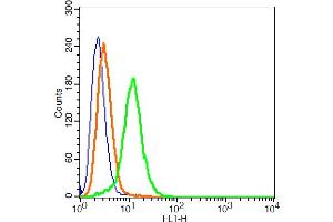 MCF7 cells probed with CACNA1G Polyclonal Antibody, ALEXA FLUOR® 488 Conjugated (bs-2781R-A488) at 1:100 for 30 minutes compared to control cells (blue) and isotype control (orange). (CACNA1G antibody  (AA 901-1000) (AbBy Fluor® 488))