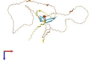 Keratin Associated Protein 29-1 (KRTAP29-1) (AA 1-341) protein (His tag)