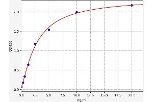 Typical standard curve (AKT3 ELISA Kit)