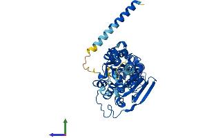 AlphaFold protein structure predicition of Human Recombinant MOCS3 Protein, UniprotID O95396