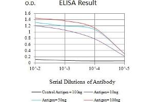 Black line: Control Antigen (100 ng),Purple line: Antigen (10 ng), Blue line: Antigen (50 ng), Red line:Antigen (100 ng) (MAP3K14 antibody  (AA 769-947))