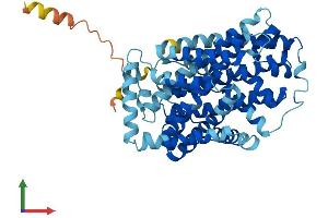 AlphaFold protein structure predicition of Mouse Recombinant Slc7a9 Protein, UniprotID Q9QXA6