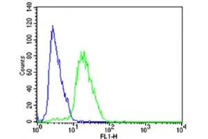 Flow cytometric analysis of SH-SY5Y cells using STMN2 Antibody (N-term)(green, Cat(ABIN6243305 and ABIN6577588)) compared to an isotype control of rabbit IgG(blue). (STMN2 antibody  (N-Term))