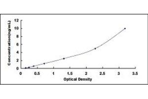 Typical standard curve (SPON2 ELISA Kit)