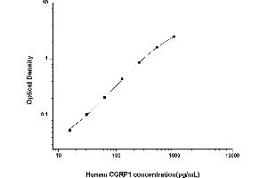 Typical standard curve (CGRP ELISA Kit)