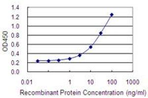Detection limit for recombinant GST tagged LOXL4 is 0. (LOXL4 antibody  (AA 657-755))
