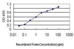Detection limit for recombinant GST tagged APOA2 is approximately 0. (APOA2 antibody  (AA 1-100))