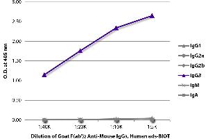 ELISA plate was coated with purified mouse IgG1, IgG2a, IgG2b, IgG3, IgM, and IgA. (Goat anti-Mouse IgG3 Antibody (Biotin) - Preadsorbed)